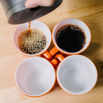 Coffee Sampler Pack